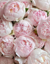 LYCHEE BLOOM - BRUME CORPORELLE