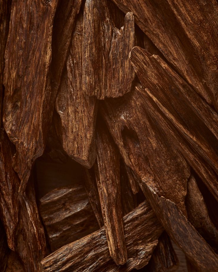 ROSE OUD   –  POT À  BOUGIE