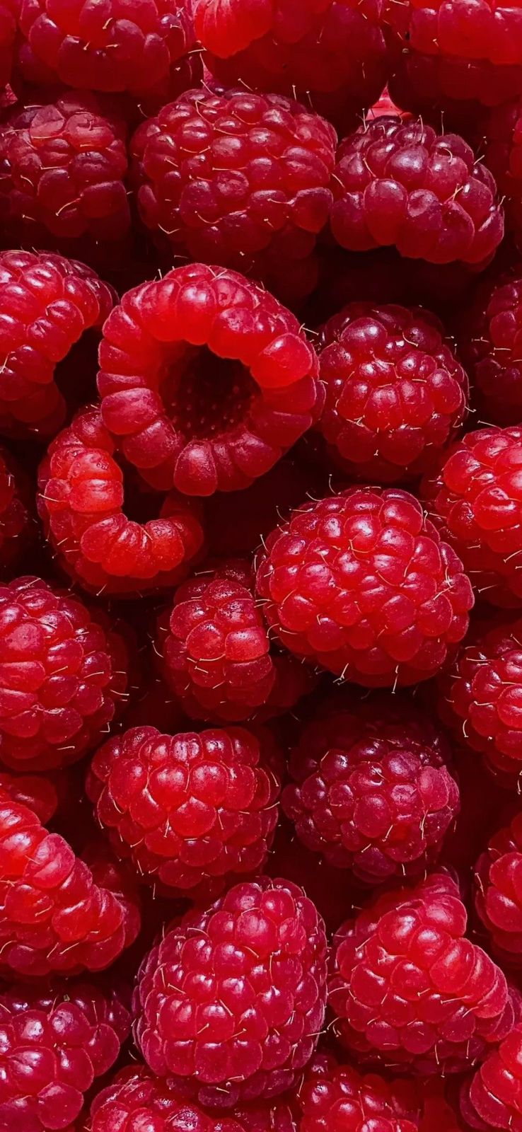 ETERNAL LOVE - BRUME CORPORELLE