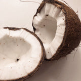 COCO MISS  - BRUME CORPORELLE